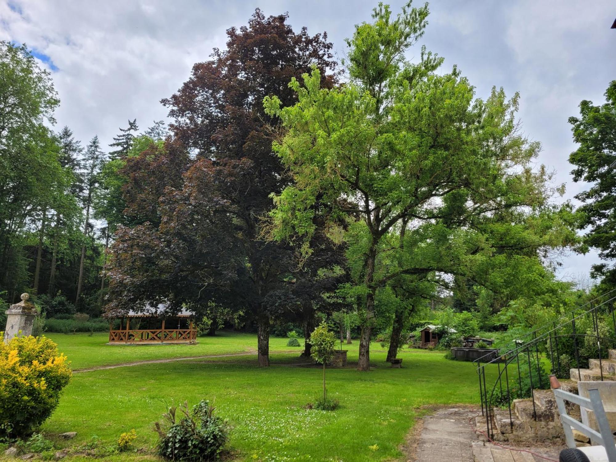 Le Manoir Paradi Presles-et-Thierny Extérieur photo